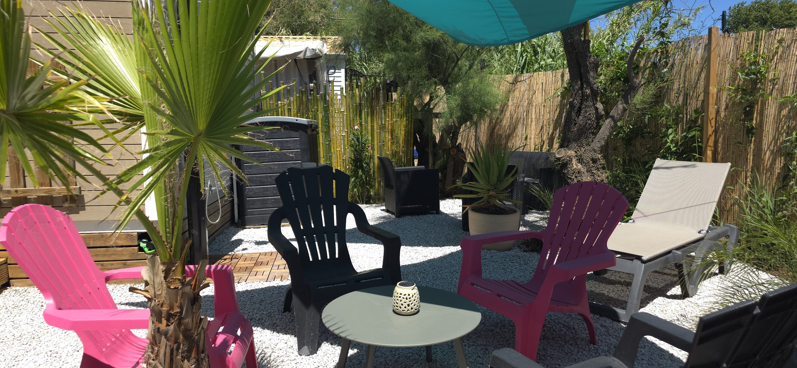 Le salon extérieur entre les palmiers, avec ses fauteuils et sa table basse
